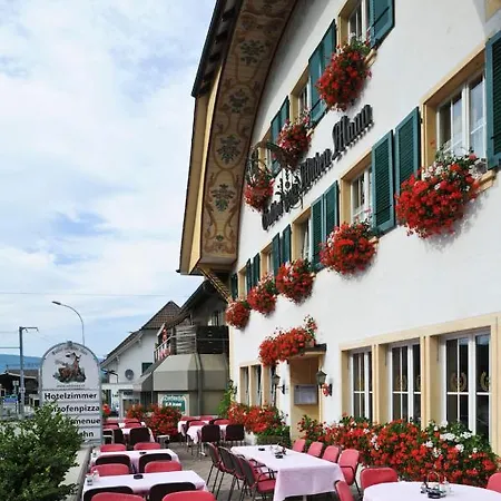 Gasthof Zum Wilden Mann Aarwangen