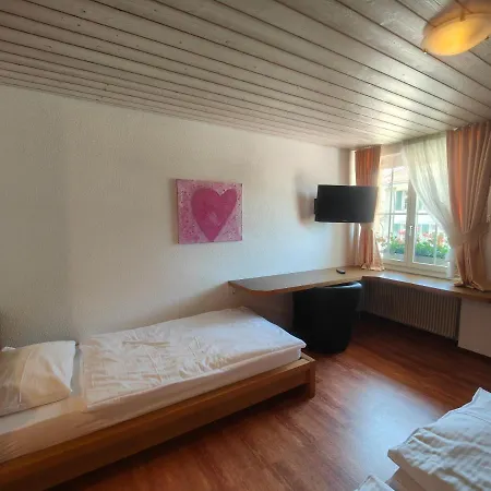 Pensión Gasthof Zum Wilden Mann