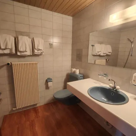 Gasthof Zum Wilden Mann Pensión